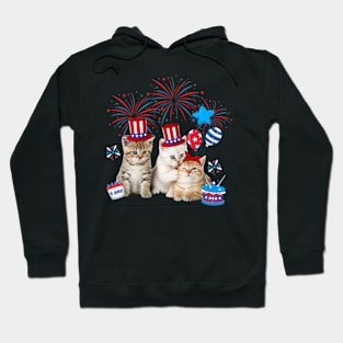 Independence Three Cat Happy 4th Of July US Flag Patriotic Cats Hoodie